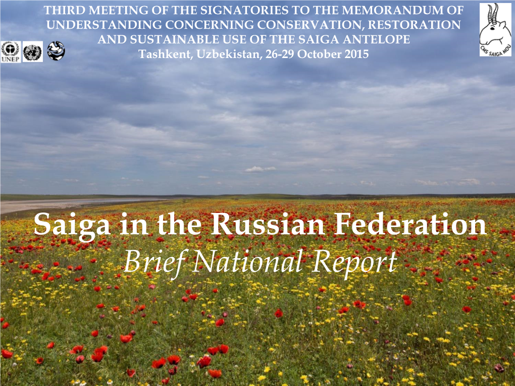 Saiga in the Russian Federation Brief National Report