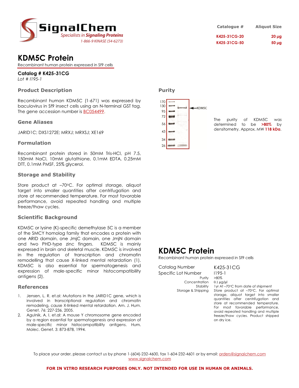 KDM5C Protein KDM5C Protein