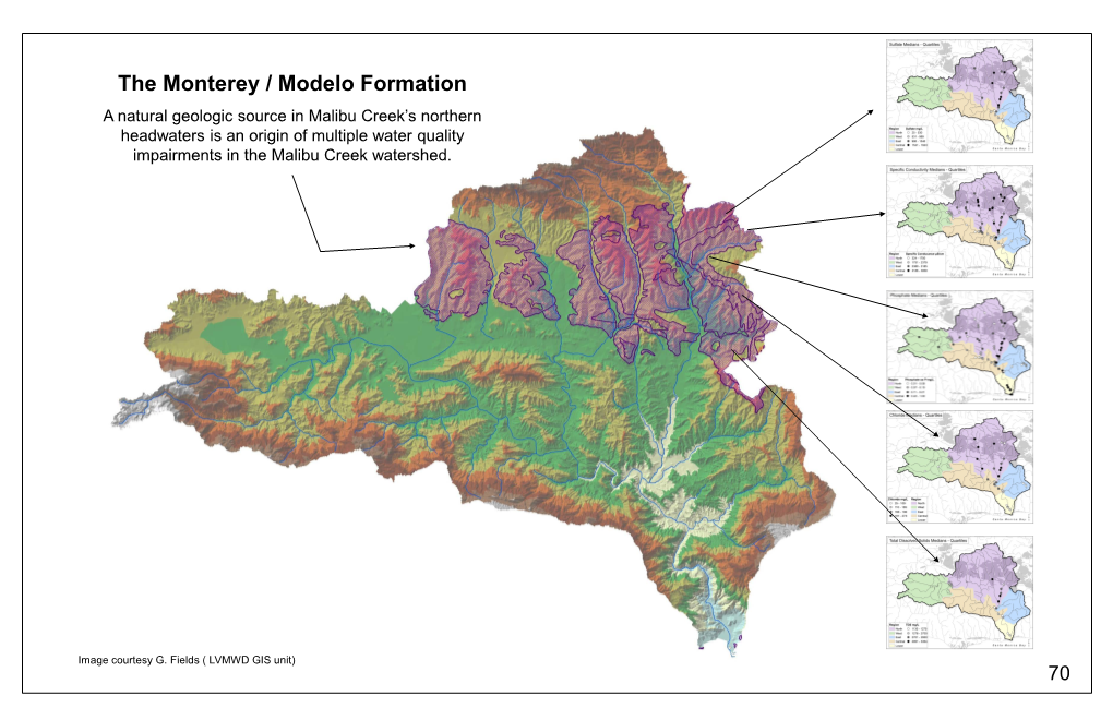 The Monterey / Modelo Formation