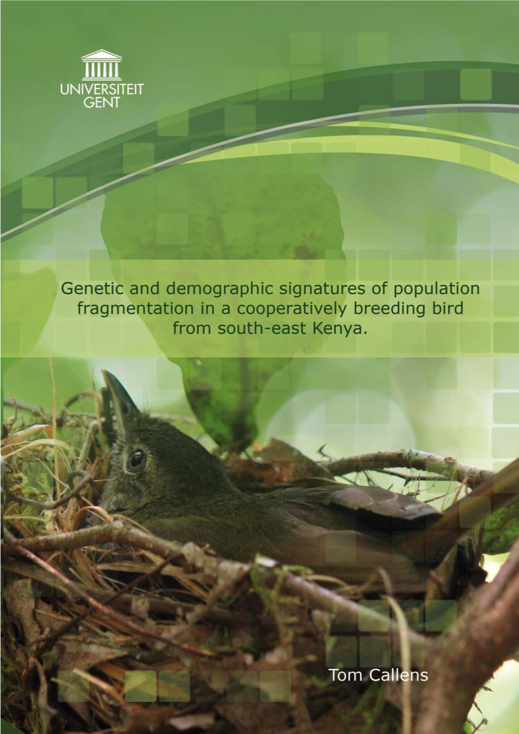 Genetic and Demographic Signatures of Population Fragmentation in a Cooperatively Breeding Bird from South-East Kenya