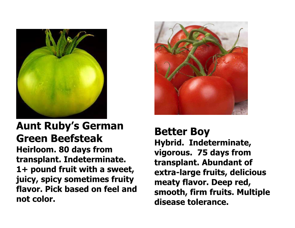 Aunt Ruby's German Green Beefsteak Better