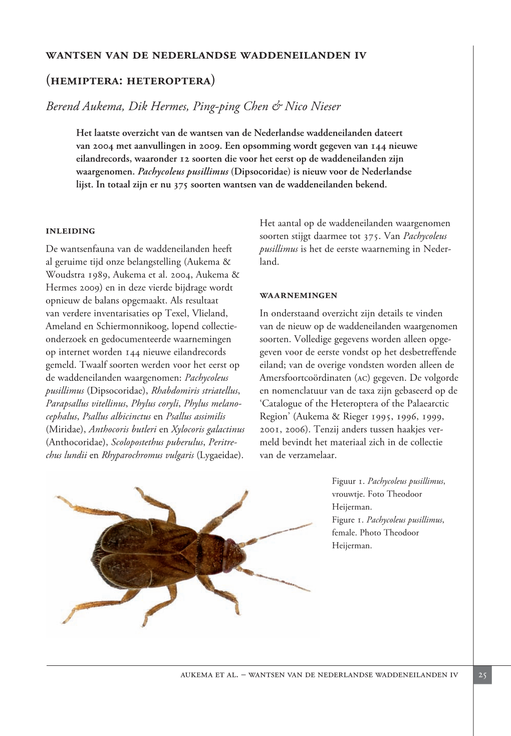 Wantsen Van De Nederlandse Waddeneilanden Iv (Hemiptera: Heteroptera)