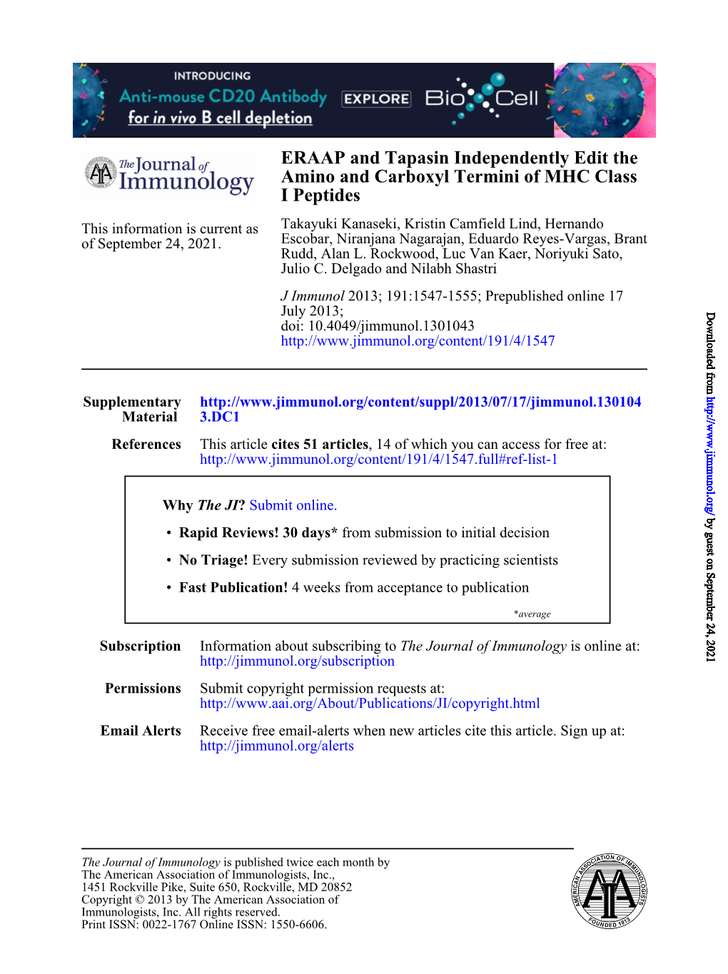 I Peptides Amino and Carboxyl Termini of MHC Class ERAAP And