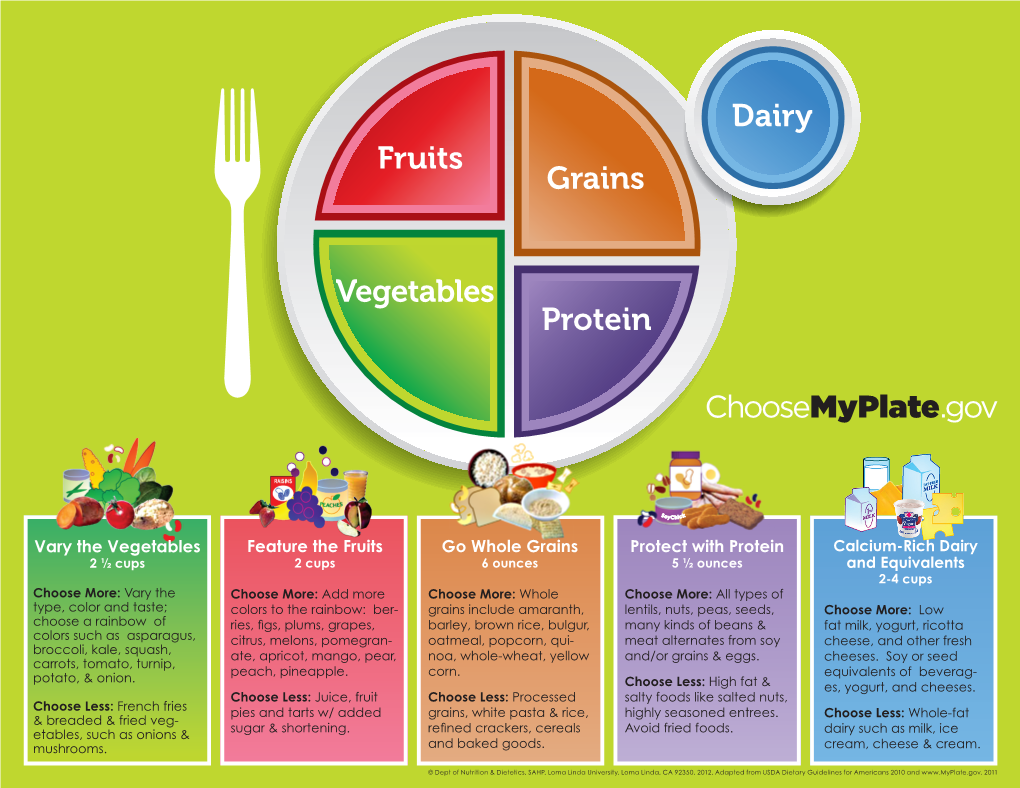 Vegetarian Food Plate Guide