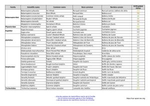Lista De Especies De Mamíferos Marinos En El Caribe