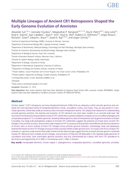 Multiple Lineages of Ancient CR1 Retroposons Shaped the Early Genome Evolution of Amniotes