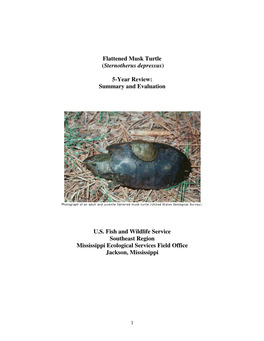 Flattened Musk Turtle (Sternotherus Depressus) 5-Year Review