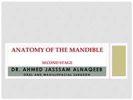Anatomy of the Mandible