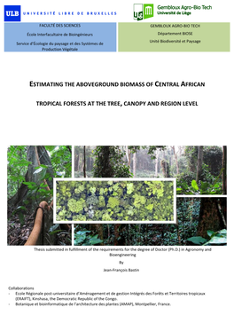 Estimating the Aboveground Biomass of Central African