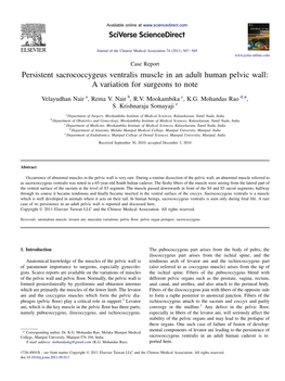 Persistent Sacrococcygeus Ventralis Muscle in an Adult Human Pelvic Wall: a Variation for Surgeons to Note