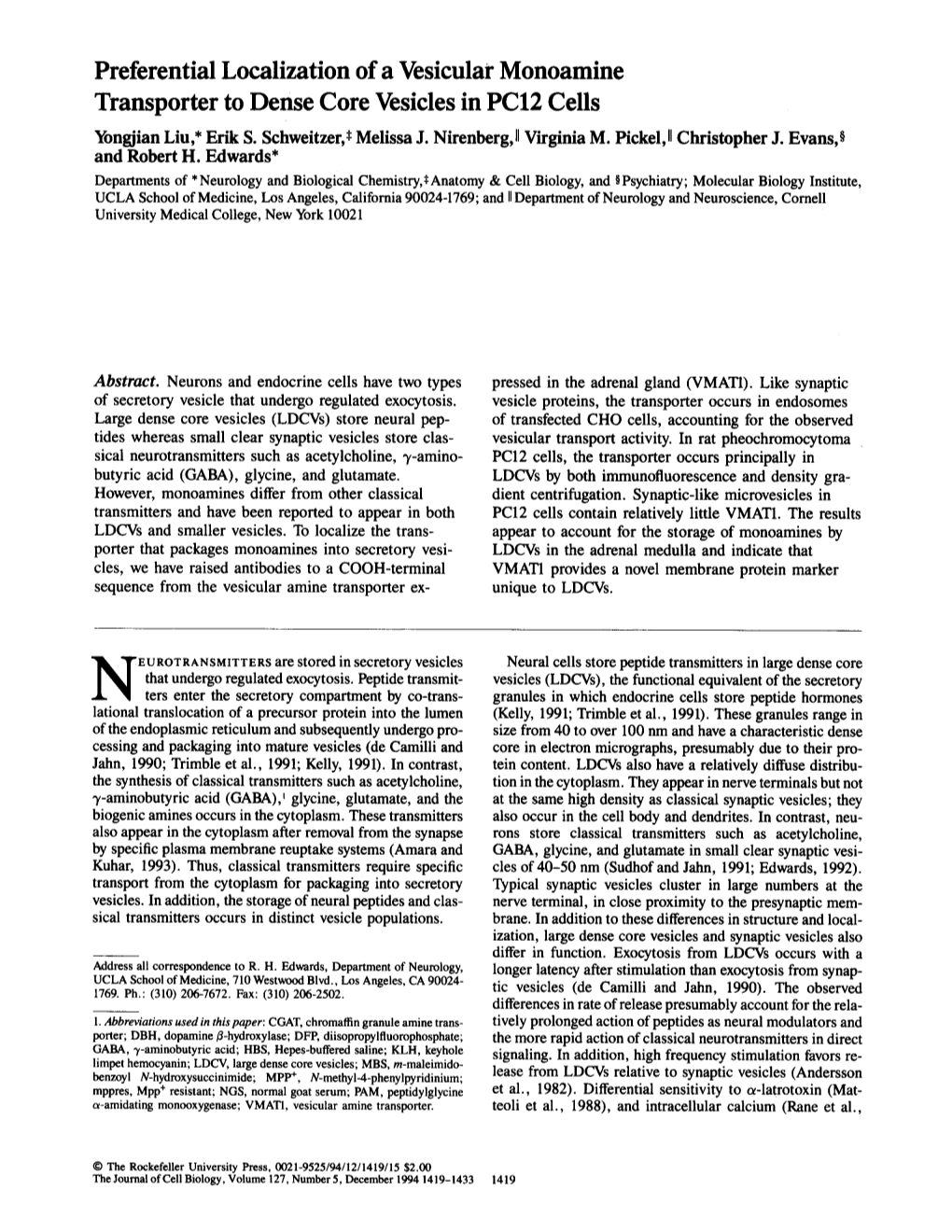 Preferential Localization of a Vesicular Monoamine Transporter to Dense Core Vesicles in PC12 Cells