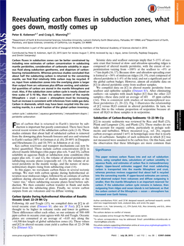 Reevaluating Carbon Fluxes in Subduction Zones, What Goes Down