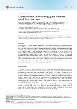 Cryptorchidism in Free-Living Jaguar (Panthera Onca): First Case Report