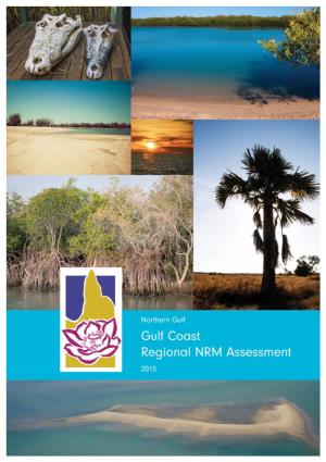 Gulf Coast Assessment