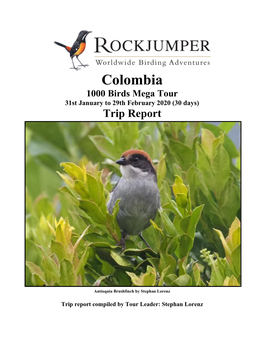 Colombia 1000 Birds Mega Tour 31St January to 29Th February 2020 (30 Days) Trip Report