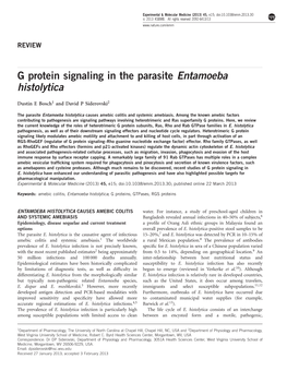 G Protein Signaling in the Parasite Entamoeba Histolytica