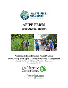 APIPP PRISM 2019 Annual Report