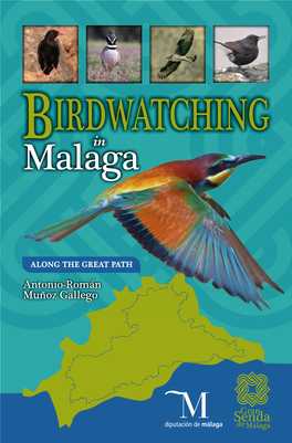 Birdwatching in Malaga Along the Great Path
