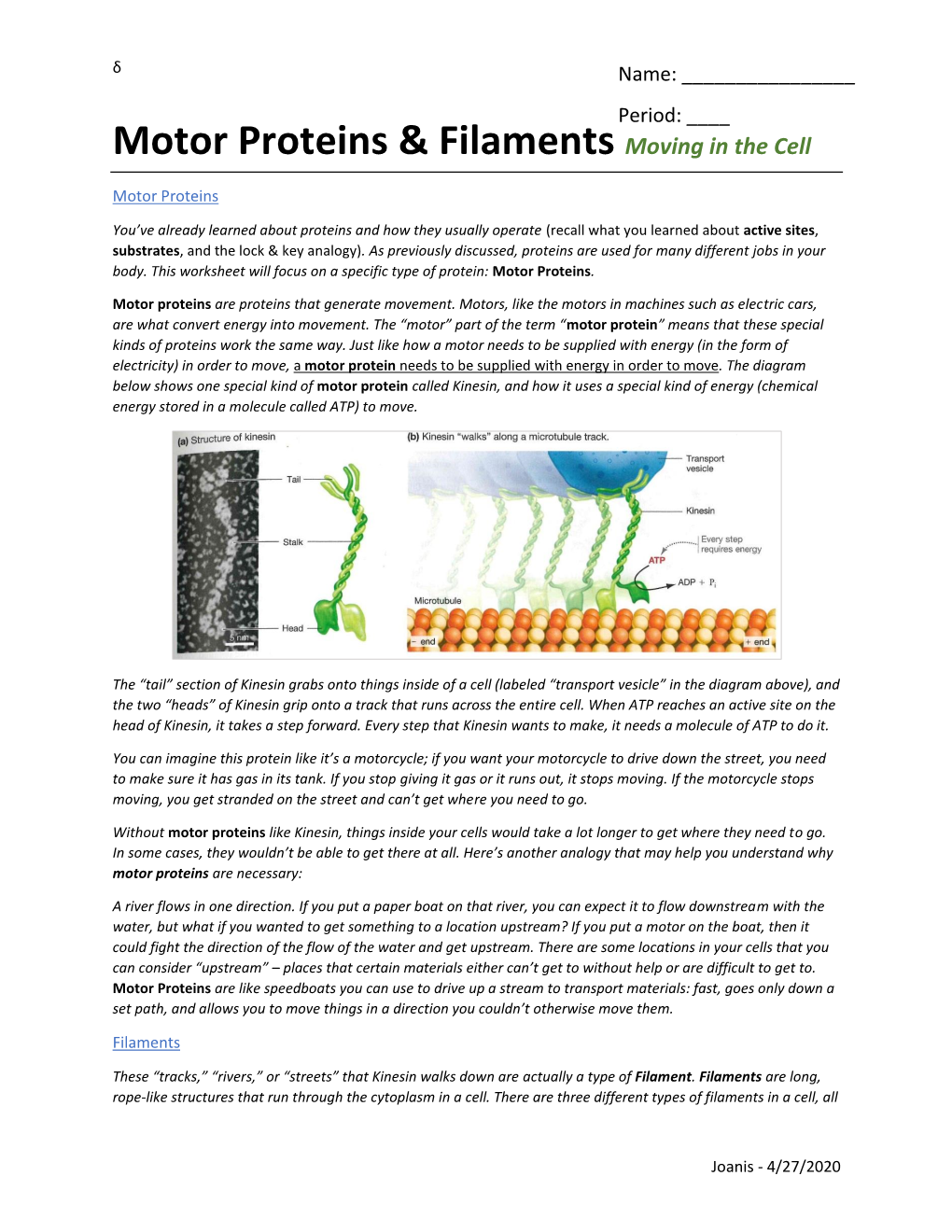Motor Proteins & Filaments Moving in the Cell