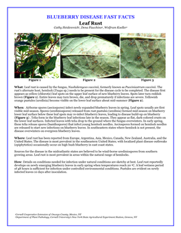 BLUEBERRY DISEASE FAST FACTS Leaf Rust Cathy Heidenreich1, Dena Fiacchino2, Wolfram Koeller1