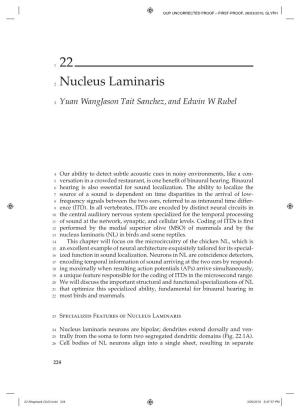 Nucleus Laminaris