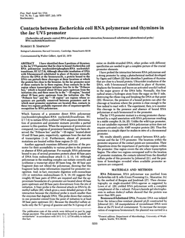 Contacts Between Escherichia Coli RNA Polymerase and Thymines In