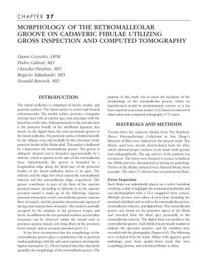 Morphology of the Retromalleolar Groove on Cadaveric Fibulae Utilizing Gross Inspection and Computed Tomography