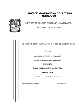 Tesis Universidad Autónoma Del Estado De Hidalgo