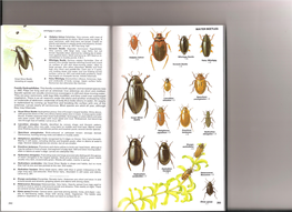 Insects-Chinery-291-301.Pdf