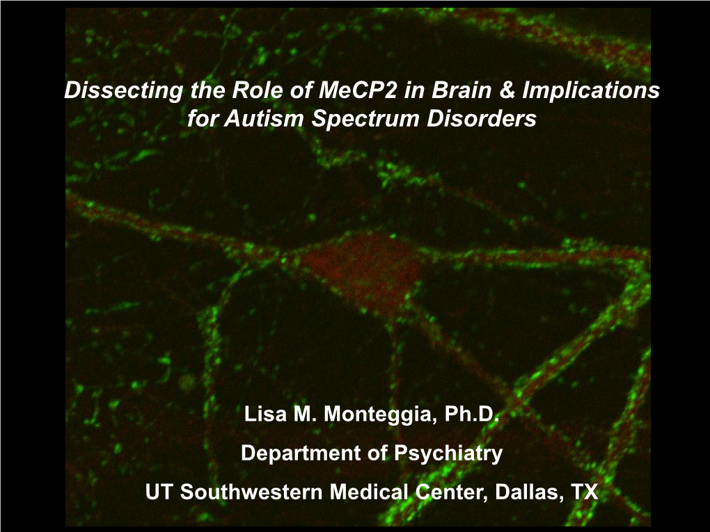 Dissecting the Role of Mecp2 in Brain & Implications for Autism Spectrum