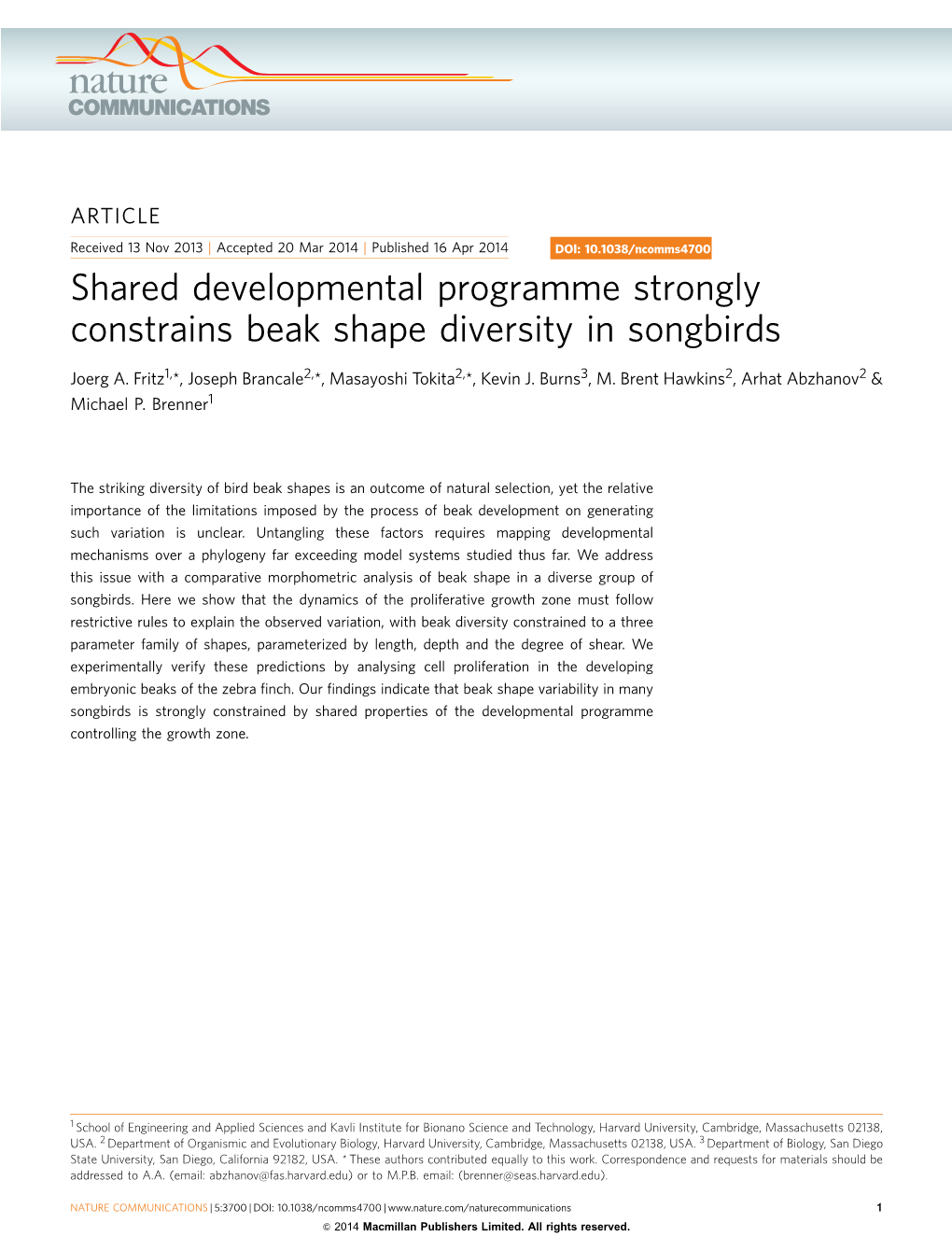 Shared Developmental Programme Strongly Constrains Beak Shape Diversity in Songbirds