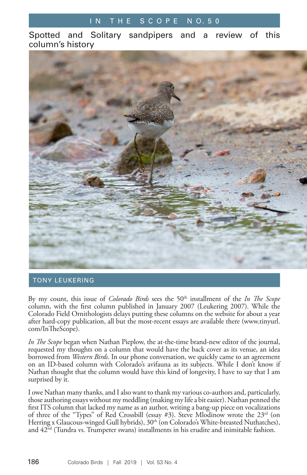 Spotted and Solitary Sandpipers and a Review of This Column's History