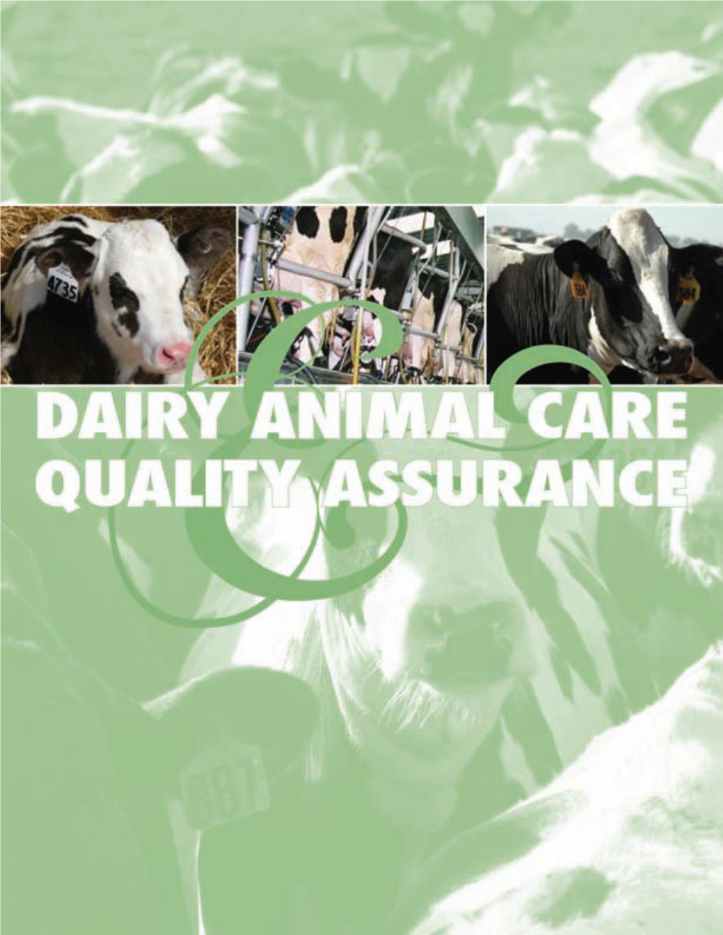 Dairy BQA Manual