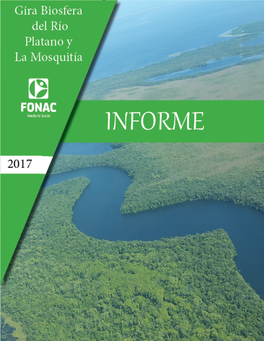 Informe Final Regiones 9 Y 10 2017