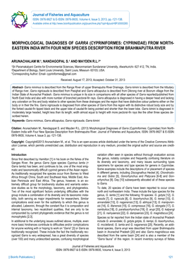 Morphological Diagnoses of Garra (Cypriniformes: Cyprinidae) from North- Eastern India with Four New Species Description from Brahmaputra River