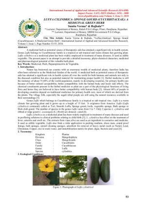 53 Luffa Cylindrica- Sponge Gourd (Cucurbitaceae): A