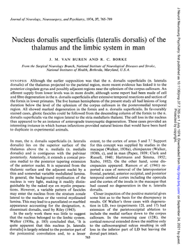 Nucleus Dorsalis Superficialis (Lateralis Dorsalis) of the Thalamus and the Limbic System in Man
