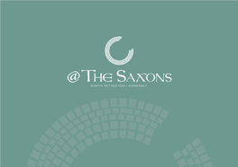 The Saxons Bro 8-20