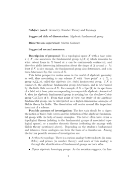 Subject Panel: Geometry, Number Theory and Topology Suggested Title of Dissertation: Algebraic Fundamental Group Dissertation Su