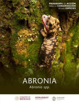 ABRONIA 1 PROGRAMA DE ACCION PARA LA CONSERVACIÓN DE LAS ESPECIES: ABRONIA (Abronia Spp) EN MÉXICO