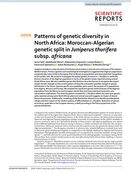 Patterns of Genetic Diversity in North Africa: Moroccan-Algerian Genetic Split in Juniperus Thurifera Subsp