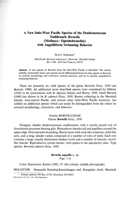 A New Indo-West Pacific Species of the Dendronotacean Nudibranch Bornella (Mollusca: Opisthobranchia) with Anguilliform Swimming Behavior