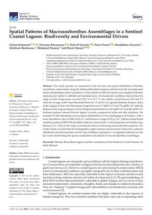 Spatial Patterns of Macrozoobenthos Assemblages in a Sentinel Coastal Lagoon: Biodiversity and Environmental Drivers