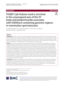 Th2bs11ph Histone Mark Is Enriched in the Unsynapsed Axes of the XY Body and Predominantly Associates with H3k4me3-Containing Ge