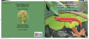 About Amphibians Sobre Los Anfibios a Guide for Children / Una Guía Para Niños