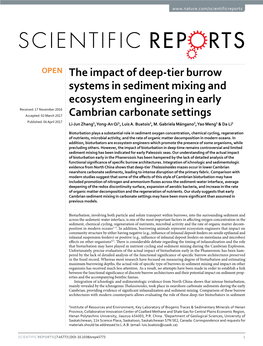 The Impact of Deep-Tier Burrow Systems in Sediment Mixing and Ecosystem Engineering in Early Cambrian Carbonate Settings