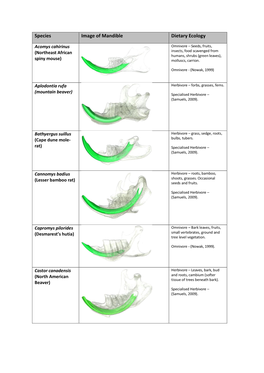 Species Image of Mandible Dietary Ecology