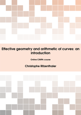 Effective Geometry and Arithmetic of Curves: an Introduction