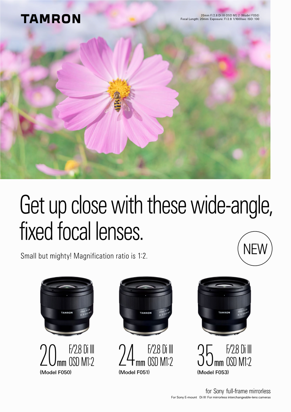 Get up Close with These Wide-Angle, Fixed Focal Lenses. Small but Mighty! Magnification Ratio Is 1:2
