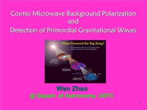 Cosmic Microwave Background Polarization and Detection of Primordial Gravitational Waves